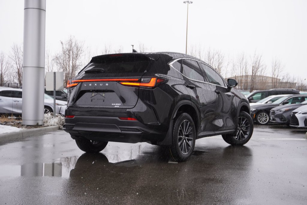 2025 Lexus NX 250 SIGNATURE in Ajax, Ontario at Lexus of Lakeridge - 15 - w1024h768px