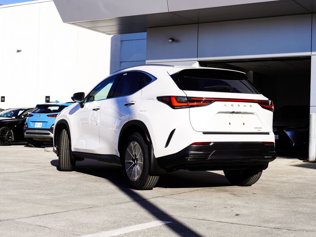 2025 Lexus NX 250 SIGNATURE in Ajax, Ontario at Lexus of Lakeridge - 15 - w1024h768px