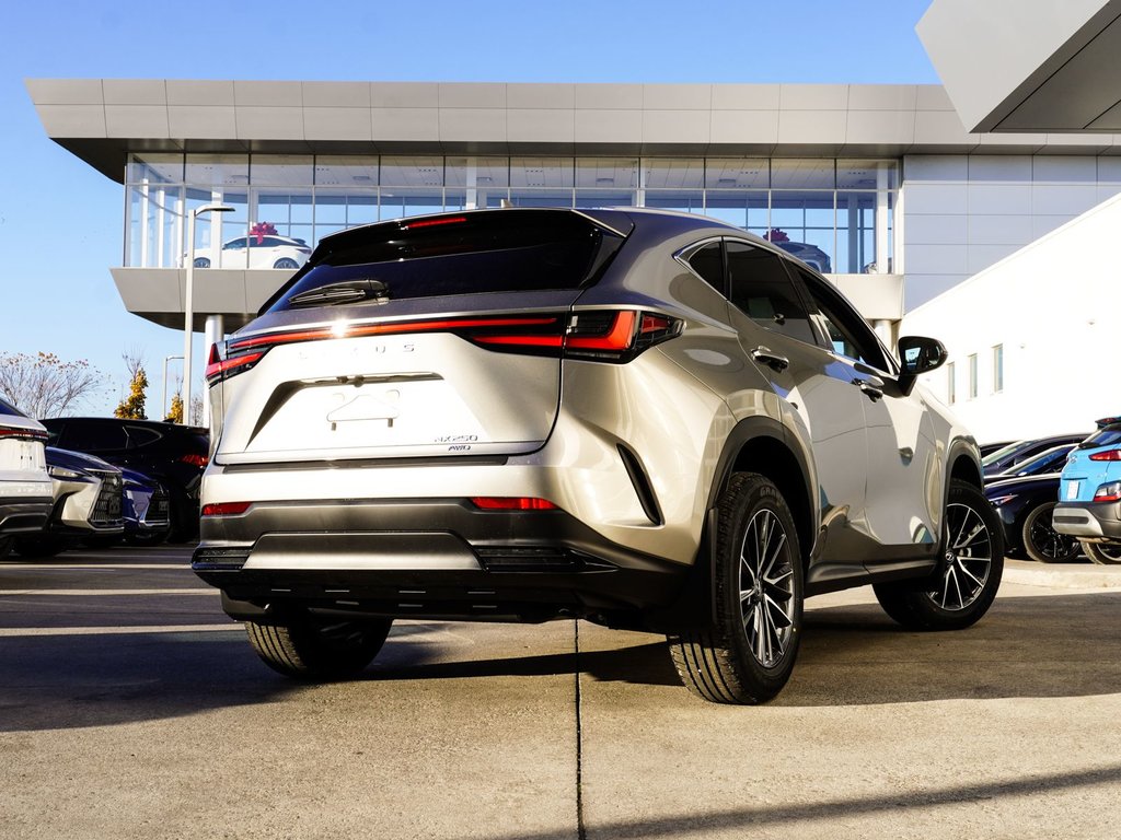 2025 Lexus NX 250 SIGNATURE in Ajax, Ontario at Lexus of Lakeridge - 13 - w1024h768px