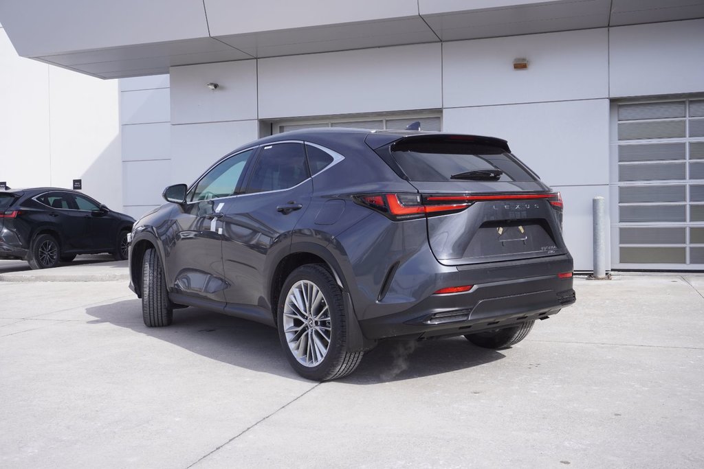 2025 Lexus NX 350h LUXURY|BLINDSPOT|PANORAMIC|WIRELESS|AMBIENT in Ajax, Ontario at Lakeridge Auto Gallery - 20 - w1024h768px