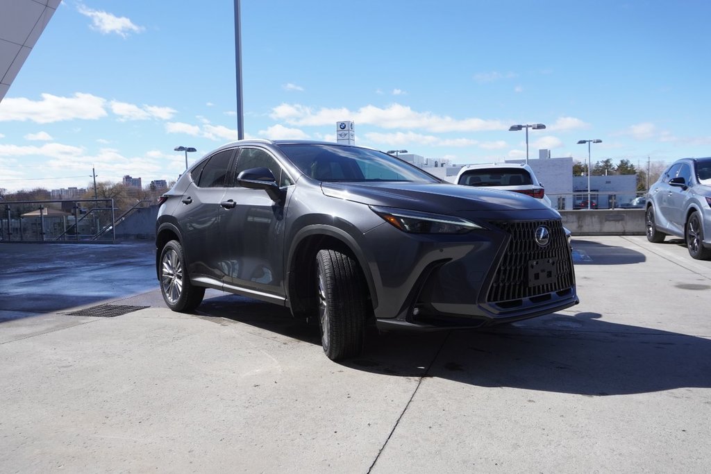 2025 Lexus NX 350h LUXURY|BLINDSPOT|PANORAMIC|WIRELESS|AMBIENT in Ajax, Ontario at Lakeridge Auto Gallery - 19 - w1024h768px