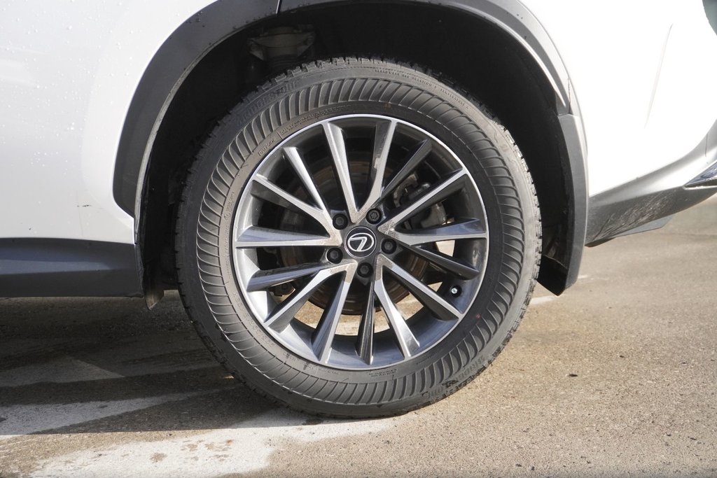 2025 Lexus NX 350 PREMIUM|MOONROOF|H/V FRONT SEATS|CARPLAY in Ajax, Ontario at Lexus of Lakeridge - 14 - w1024h768px