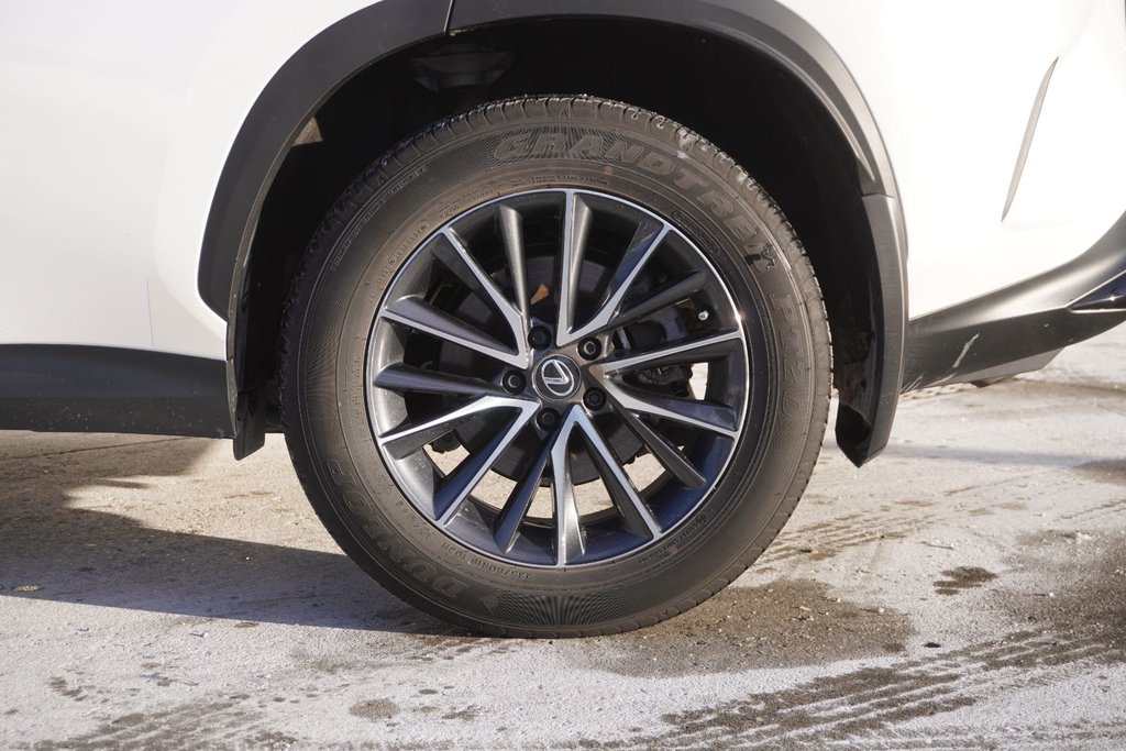 2025 Lexus NX 250 SIGNATURE|CARPLAY|H/STEERING|HEATED FRONT SEATS in Ajax, Ontario at Lexus of Lakeridge - 14 - w1024h768px