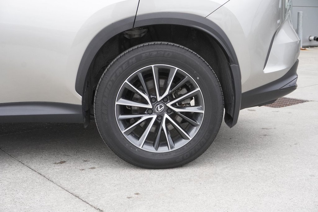 2025 Lexus NX 250 AWD SIGNATURE|CARPLAY|H/STEERING|NAVI in Ajax, Ontario at Lexus of Lakeridge - 10 - w1024h768px