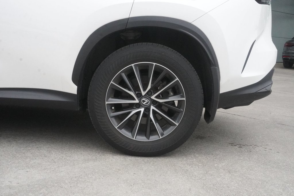 2025 Lexus NX 350 PREMIUM|MOONROOF|H/V FRONT SEATS|CARPLAY in Ajax, Ontario at Lexus of Lakeridge - 11 - w1024h768px