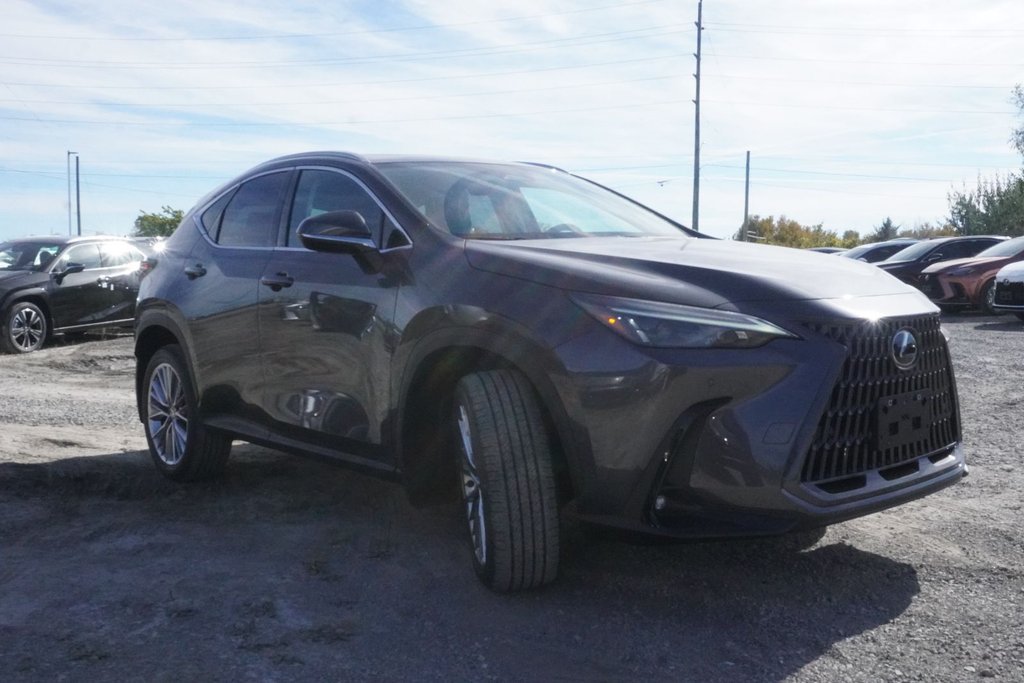 2026 Lexus NX 350 LUXURY|WIRELESS|14 DISPLAY|H/V FRONT SEATS in Ajax, Ontario at Lexus of Lakeridge - 11 - w1024h768px