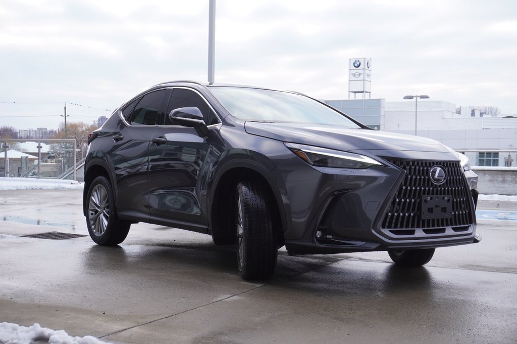 2025 Lexus NXH NX 350h in Ajax, Ontario at Lexus of Lakeridge - 21 - w1024h768px