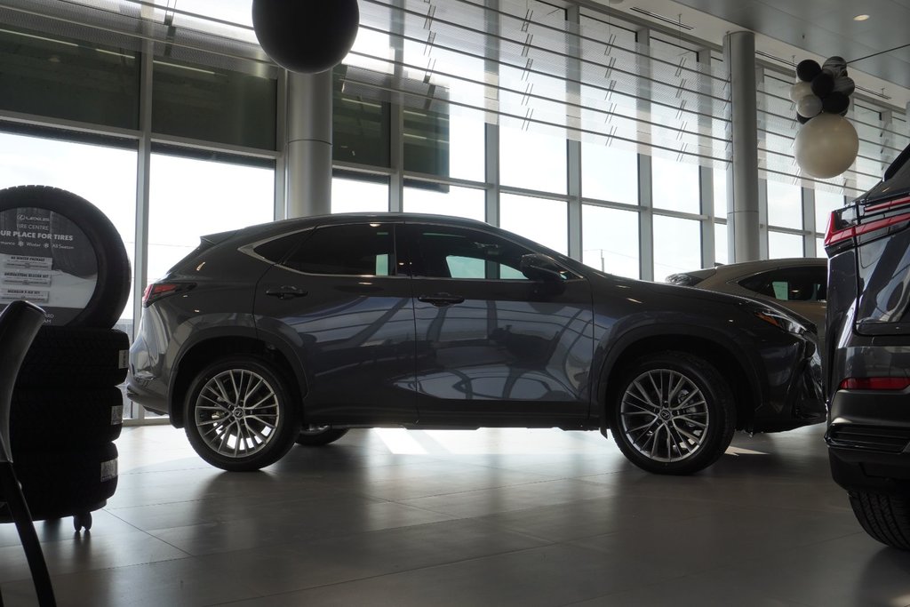 2025 Lexus NXH NX 350h in Ajax, Ontario at Lexus of Lakeridge - 16 - w1024h768px