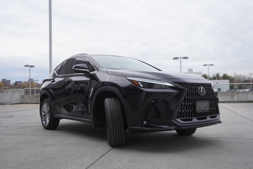 2025 Lexus NX 350h LUXURY|WIRELESS|CARPLAY|PANORAMIC|H/V FRONT SEATS in Ajax, Ontario at Lexus of Lakeridge - 17 - w1024h768px