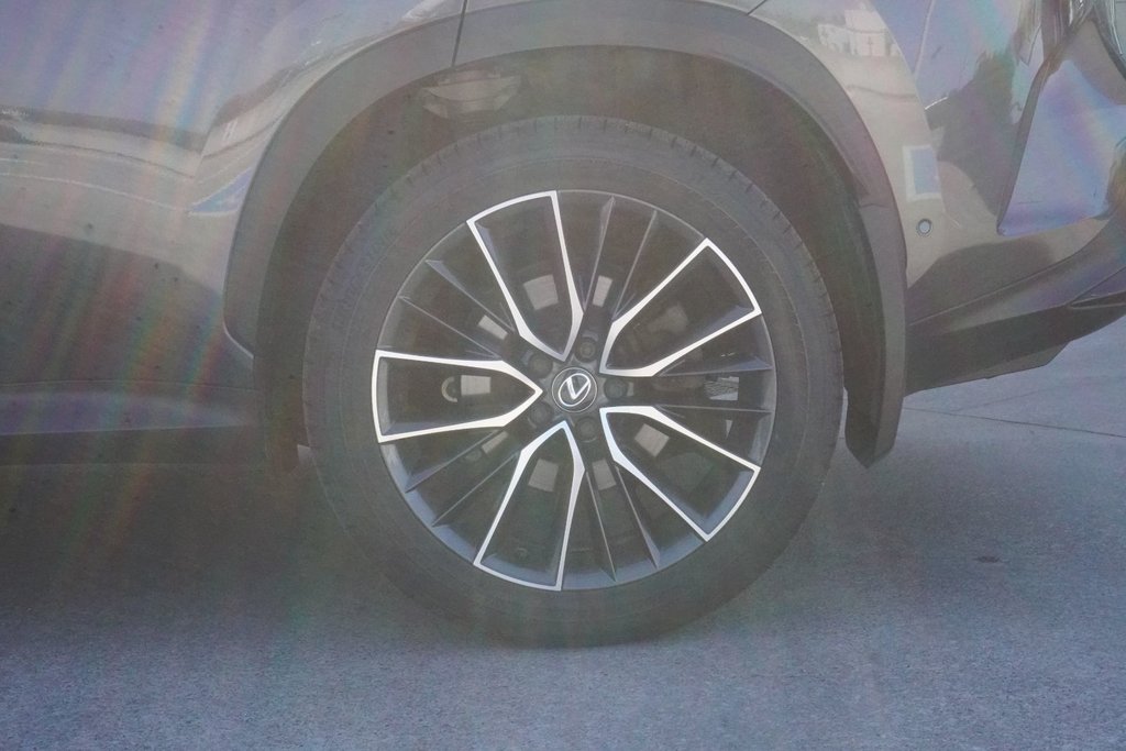 2025 Lexus NX 350h EXECUTIVE|M/LEVINSON|HUD|WIRELESS|SELF PARK in Ajax, Ontario at Lexus of Lakeridge - 17 - w1024h768px