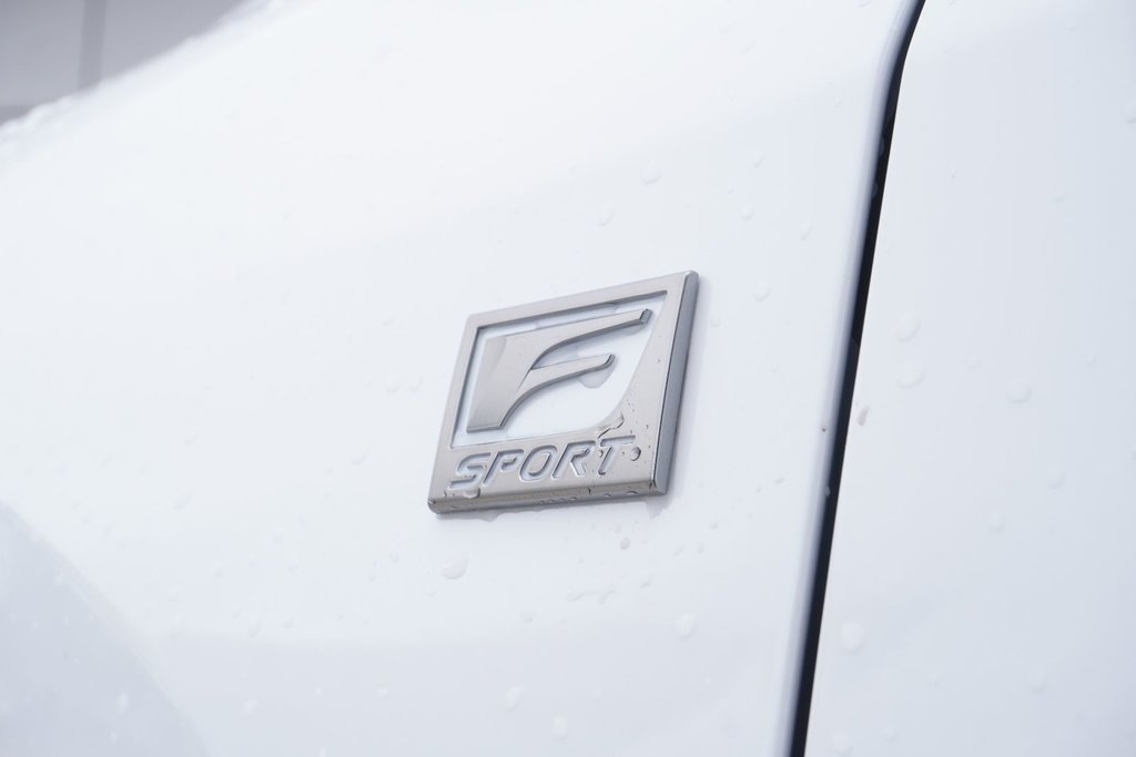 2025 Lexus RX 350 F SPORT 3 in Ajax, Ontario at Lakeridge Auto Gallery - 22 - w1024h768px