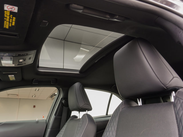 2020 Lexus UX 250h AWD HYBRID PREMIUM|MOONROOF|COOL SEATS|BACKUP|18' ALLOYS in Ajax, Ontario at Lakeridge Auto Gallery - 24 - w1024h768px