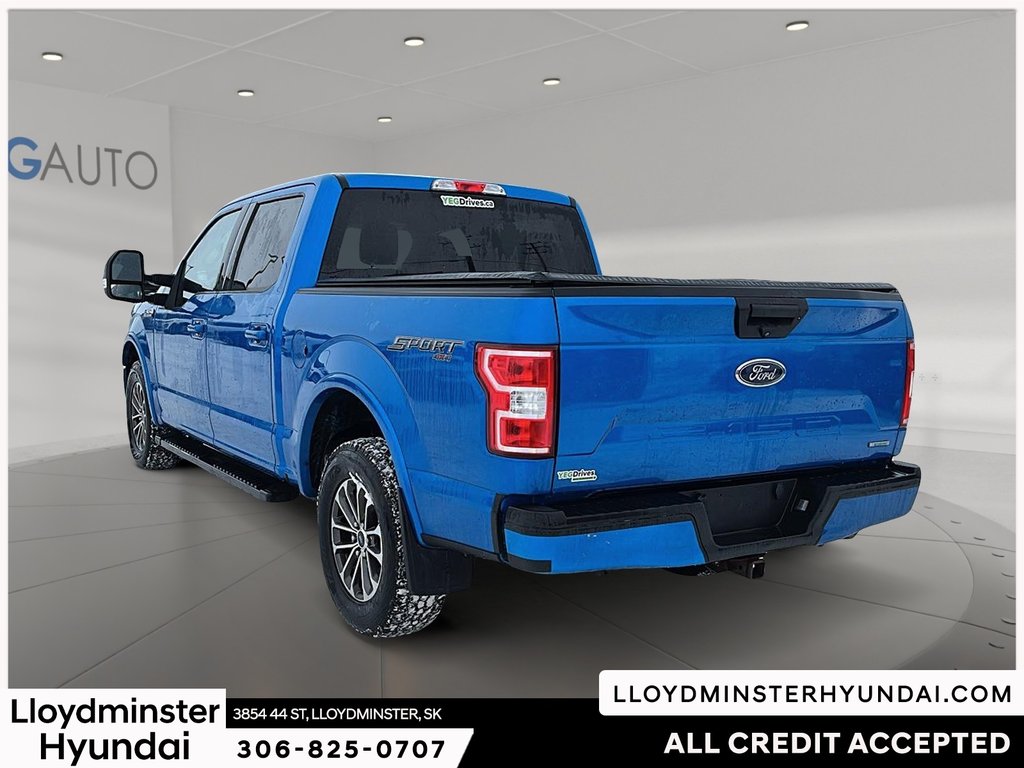 2019 Ford F-150 XLT in Lloydminster, Saskatchewan - 7 - w1024h768px