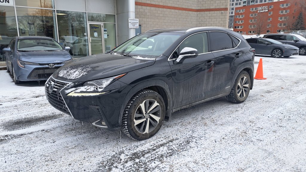 2019 Lexus NX 300h-0