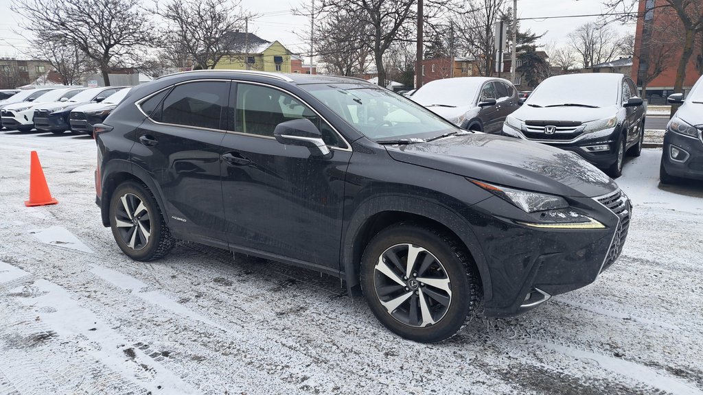 2019 Lexus NX 300h-1