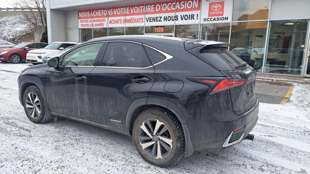 2019 Lexus NX 300h-4