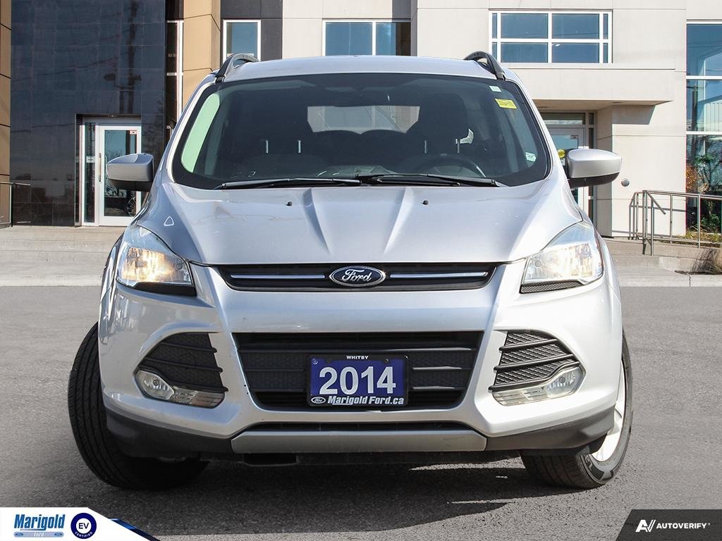 2014  Escape SE in Whitby, Ontario - 2 - w1024h768px