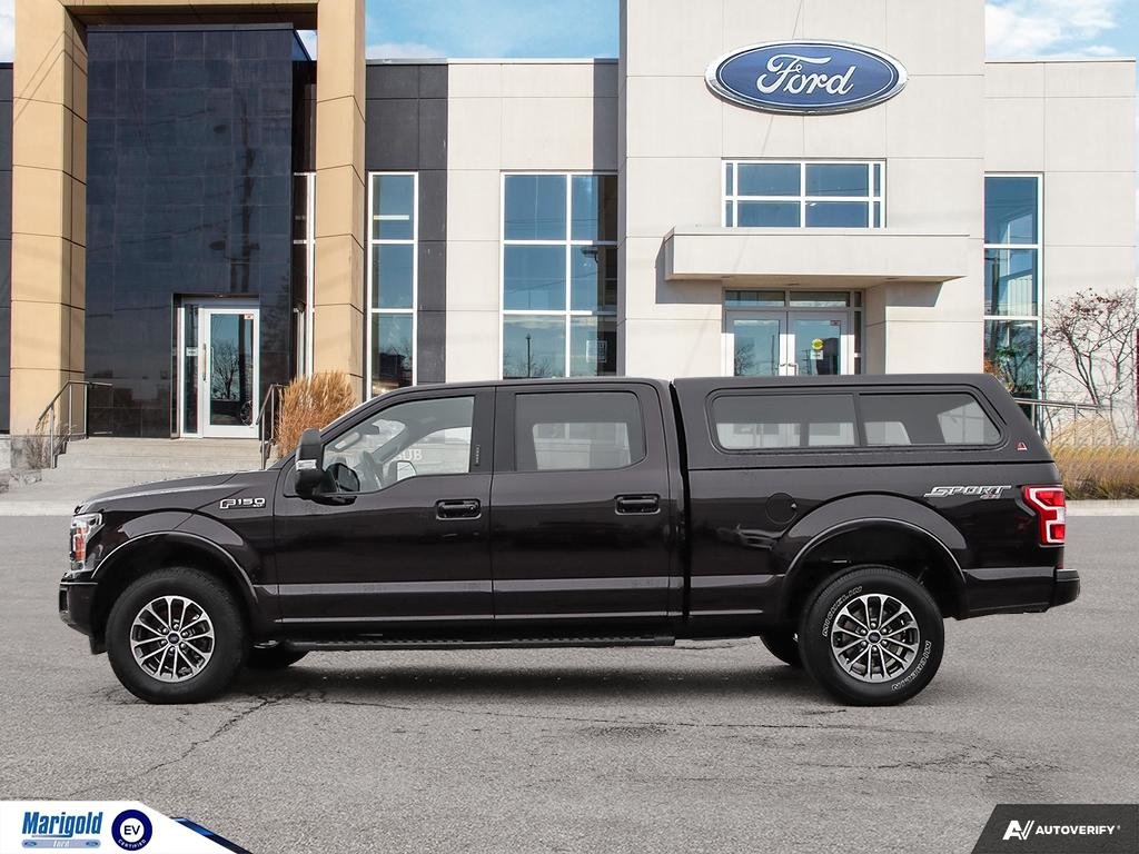 2020  F-150 XLT in Whitby, Ontario - 3 - w1024h768px