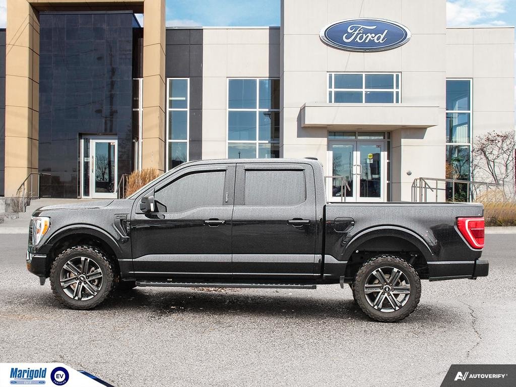 2022  F-150 XLT in Whitby, Ontario - 3 - w1024h768px