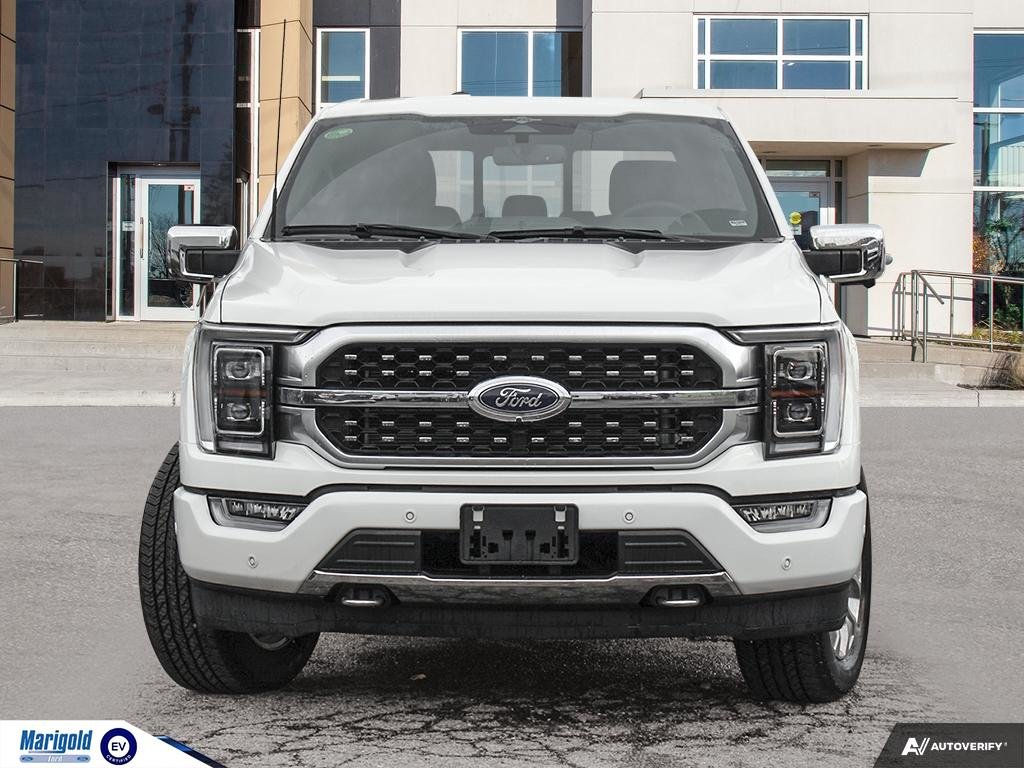 2023  F-150 Platinum in Whitby, Ontario - 2 - w1024h768px