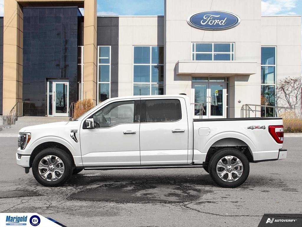 2023  F-150 Platinum in Whitby, Ontario - 3 - w1024h768px