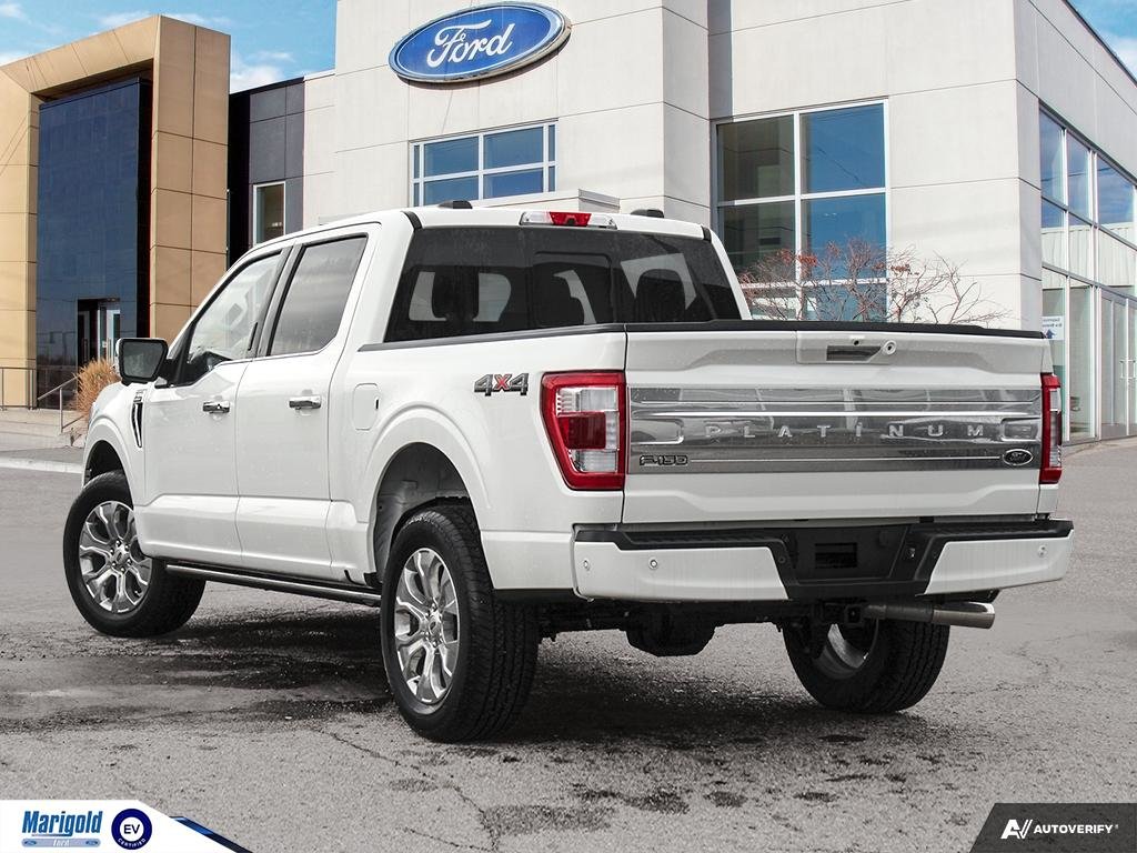 2023  F-150 Platinum in Whitby, Ontario - 4 - w1024h768px