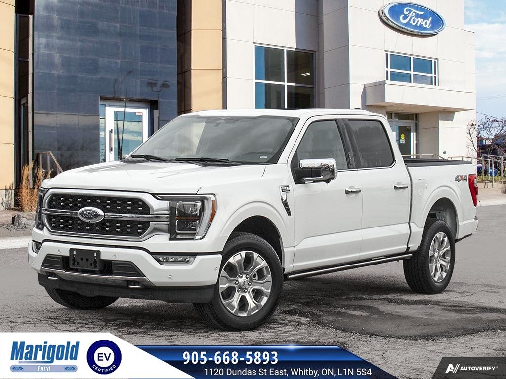 2023  F-150 Platinum in Whitby, Ontario - 1 - w1024h768px