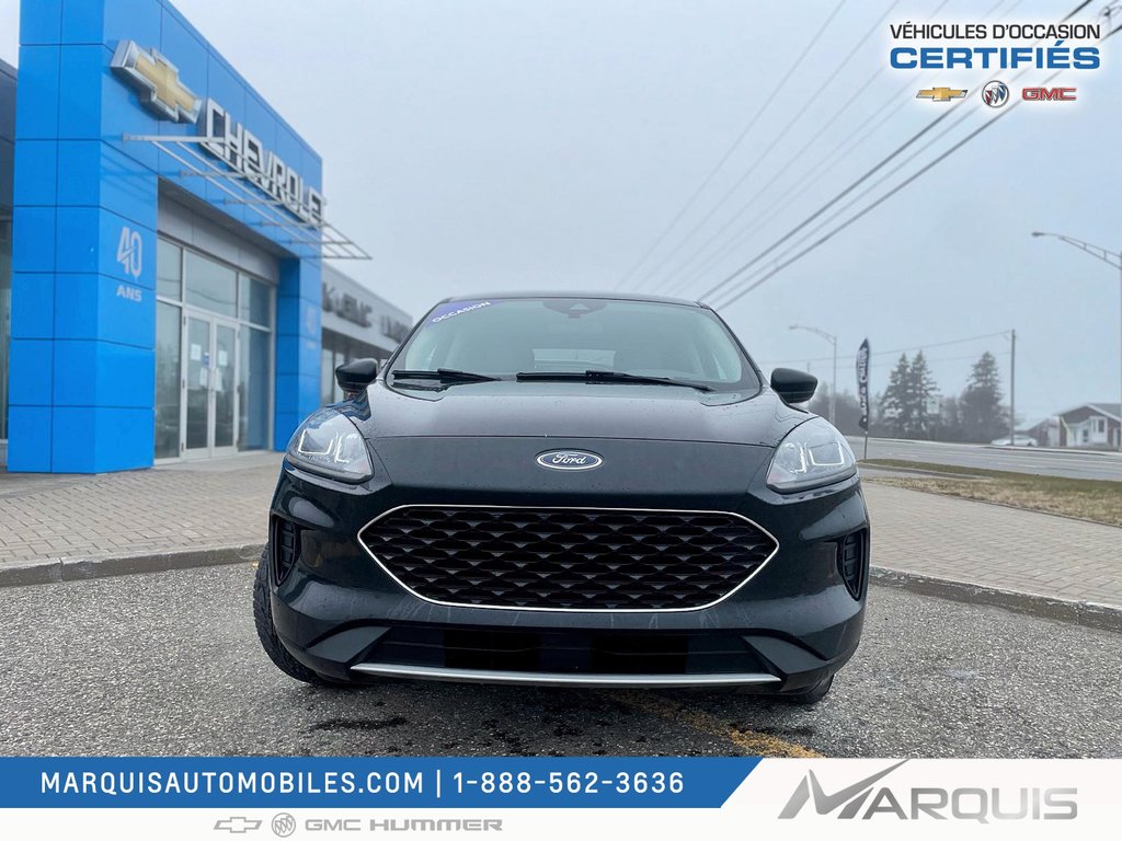 Ford Escape  2020 à Matane, Québec - 3 - w1024h768px