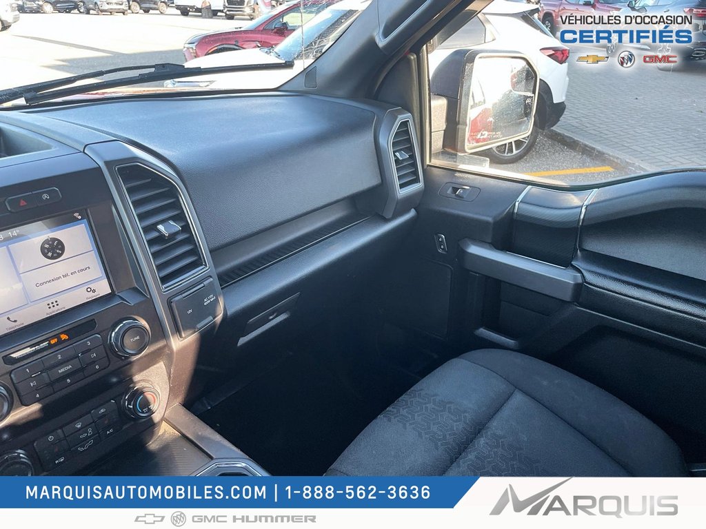 Ford F-150  2019 à Matane, Québec - 15 - w1024h768px