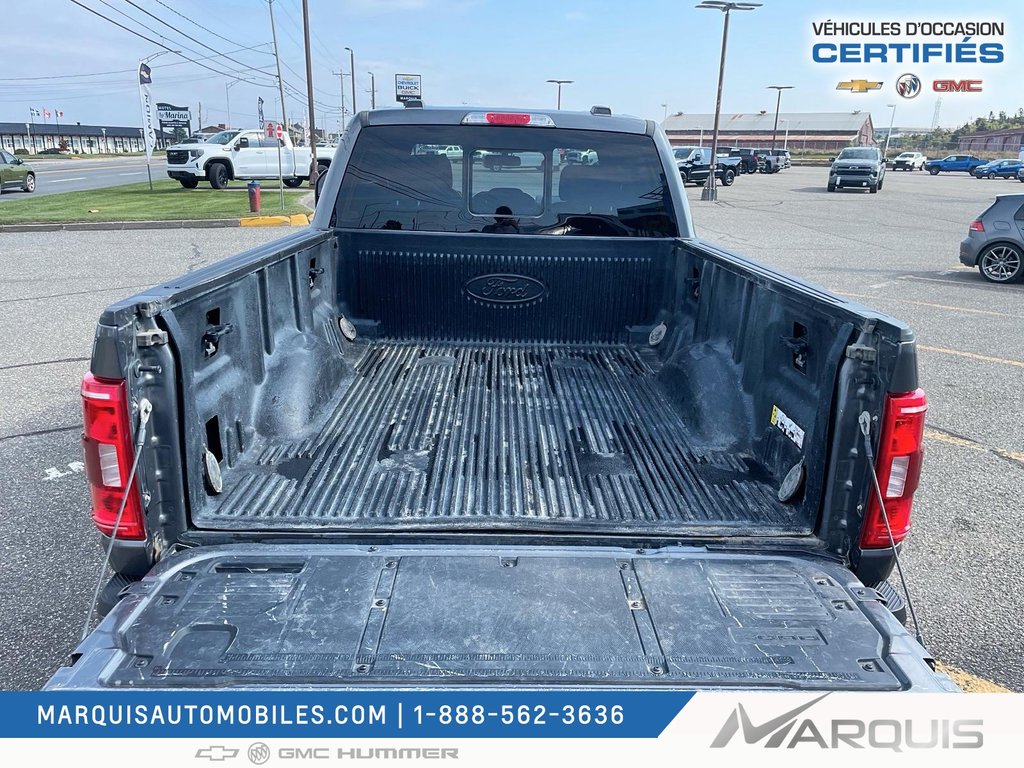 Ford F-150  2022 à Matane, Québec - 5 - w1024h768px