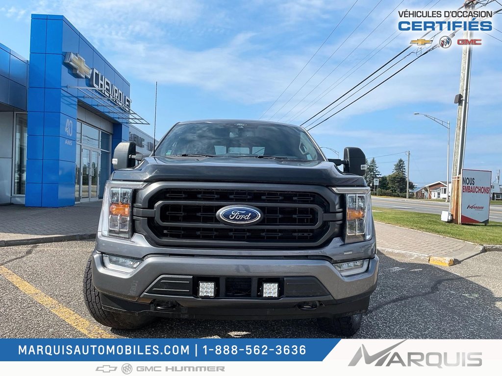 Ford F-150  2022 à Matane, Québec - 3 - w1024h768px