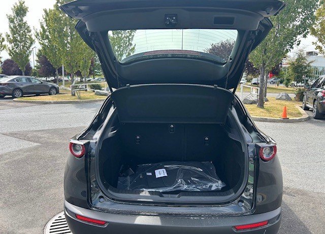 2025 Mazda CX-30 GX in Boucherville, Quebec - 7 - w1024h768px