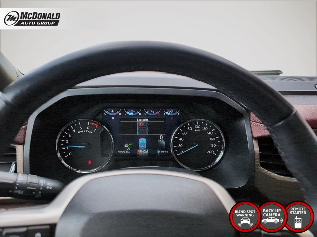 2024 Ford Expedition Limited in Taber, Alberta - 21 - w1024h768px