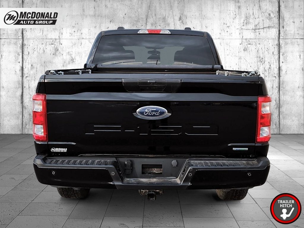2023 Ford F-150 STX in Taber, Alberta - 3 - w1024h768px
