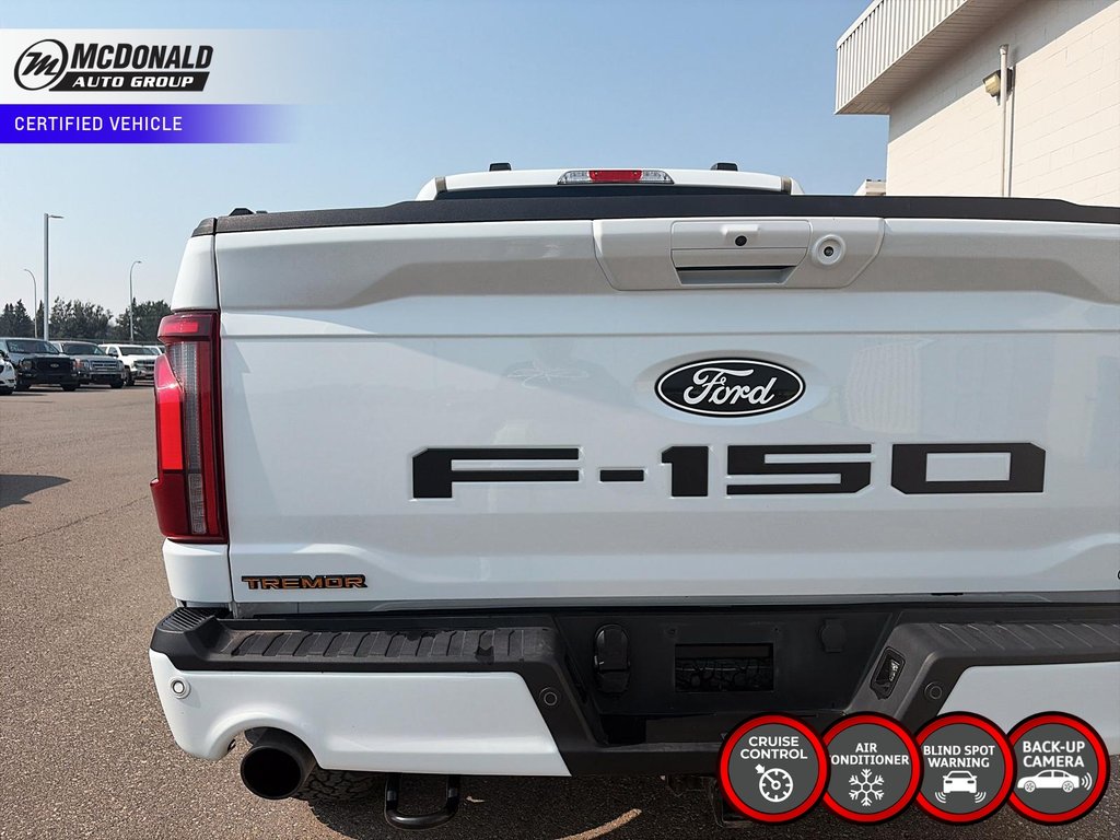 2024 Ford F-150Tremor in Taber, Alberta - 9 - w1024h768px