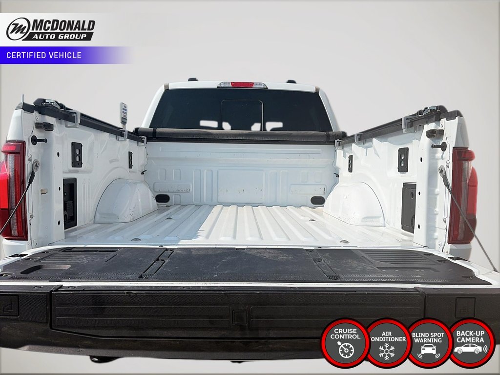 2024 Ford F-150Tremor in Taber, Alberta - 10 - w1024h768px