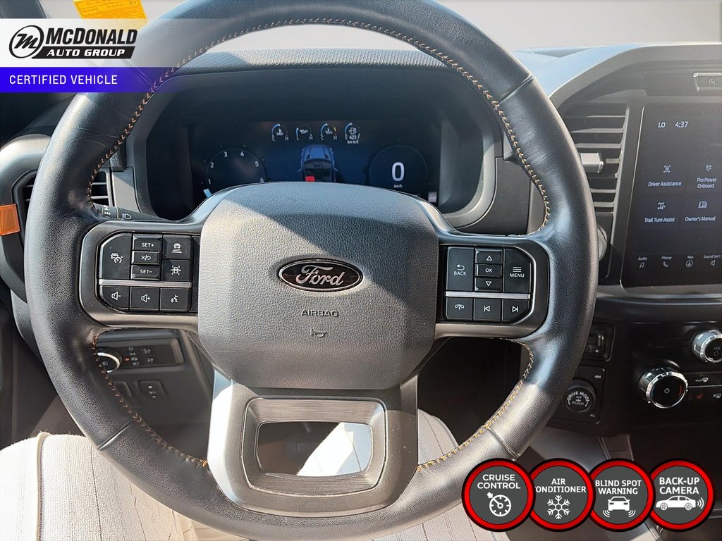 2024 Ford F-150Tremor in Taber, Alberta - 18 - w1024h768px