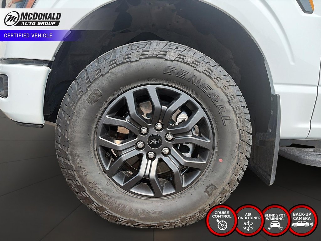 2024 Ford F-150Tremor in Taber, Alberta - 7 - w1024h768px