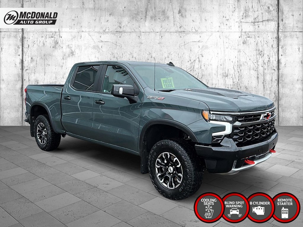 2025 Chevrolet Silverado 1500 in Taber, Alberta - 7 - w1024h768px