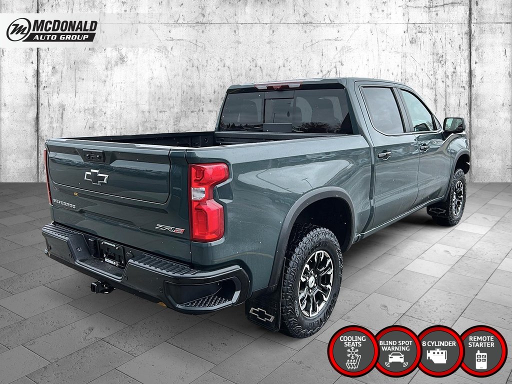 2025 Chevrolet Silverado 1500 in Taber, Alberta - 5 - w1024h768px