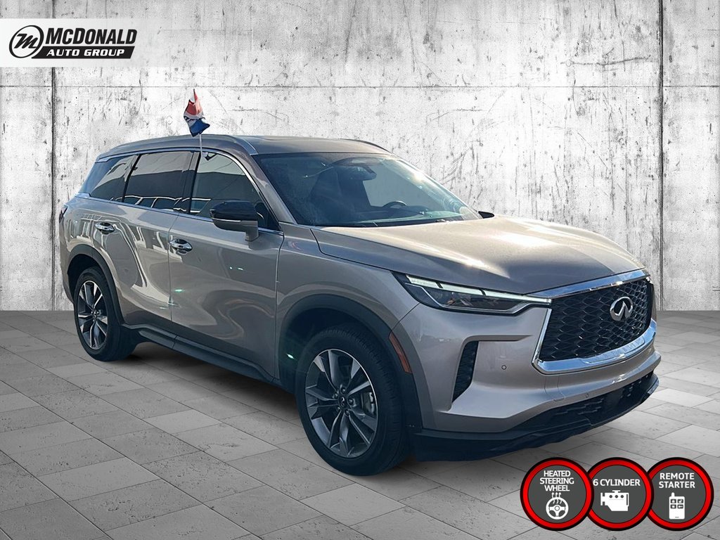 2024 Infiniti QX60 in Taber, Alberta - 7 - w1024h768px