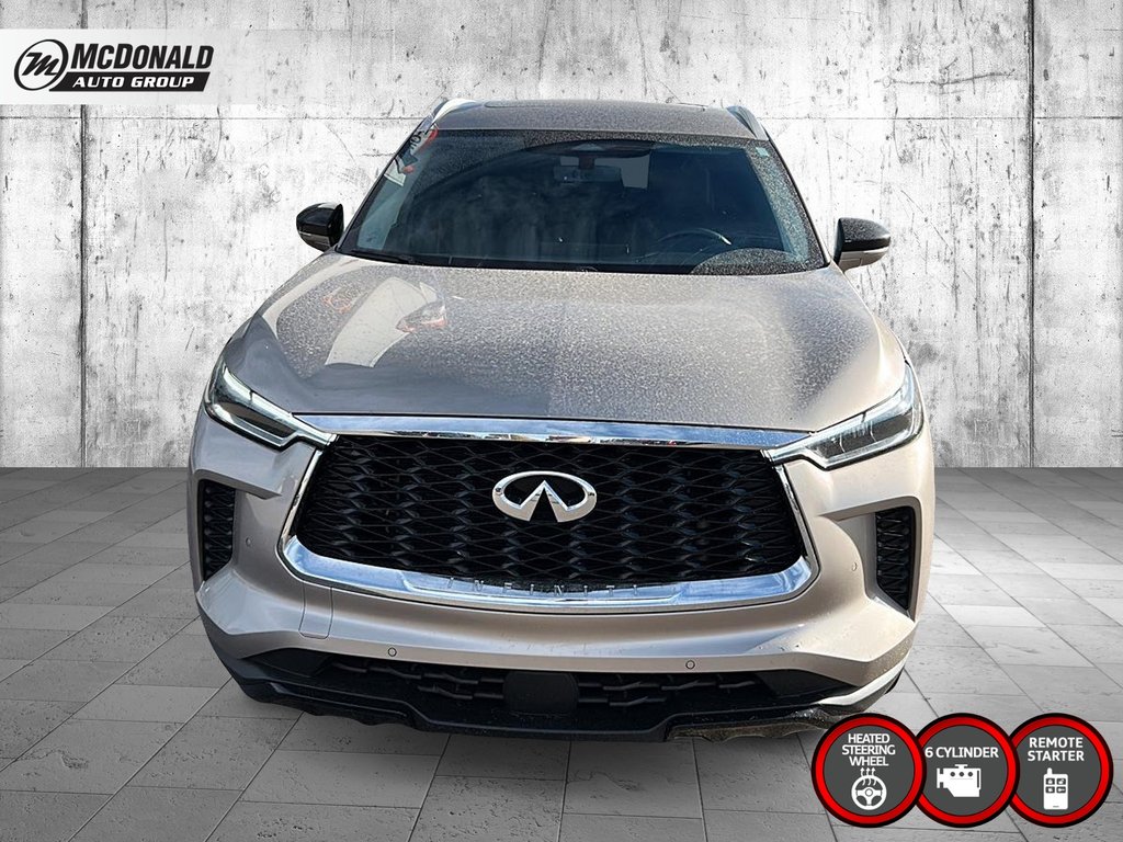 2024 Infiniti QX60 in Taber, Alberta - 8 - w1024h768px