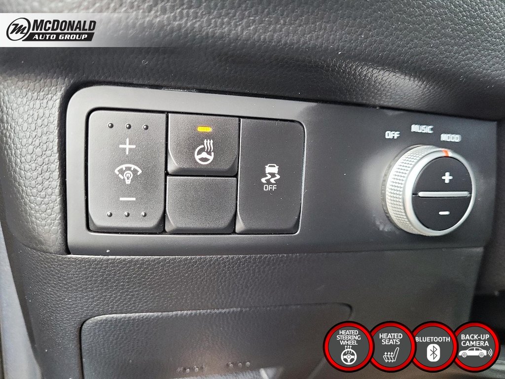 2019 Kia Soul in Taber, Alberta - 19 - w1024h768px