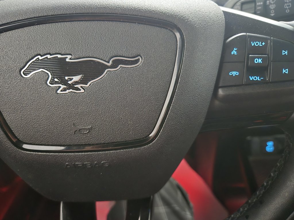 2022 Ford Mustang Mach-E Premium AWD 4X Bang & Olufsen in Terrebonne, Quebec - 13 - w1024h768px