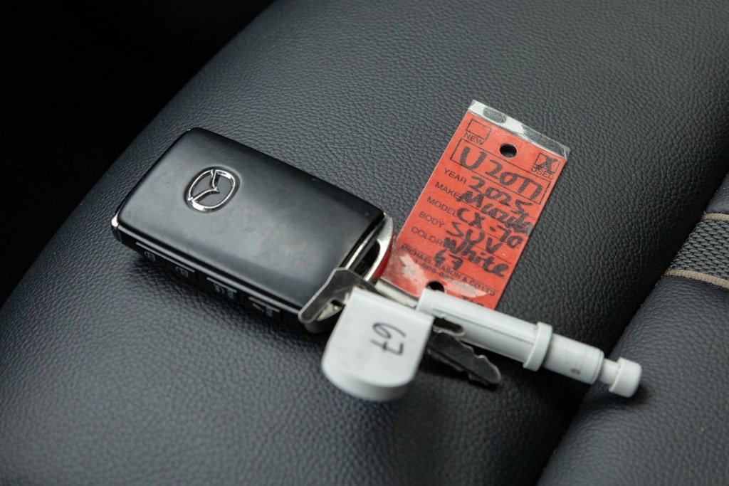 2025 Mazda CX-70 MHEV GS-L AWD in Kamloops, British Columbia - 20 - w1024h768px