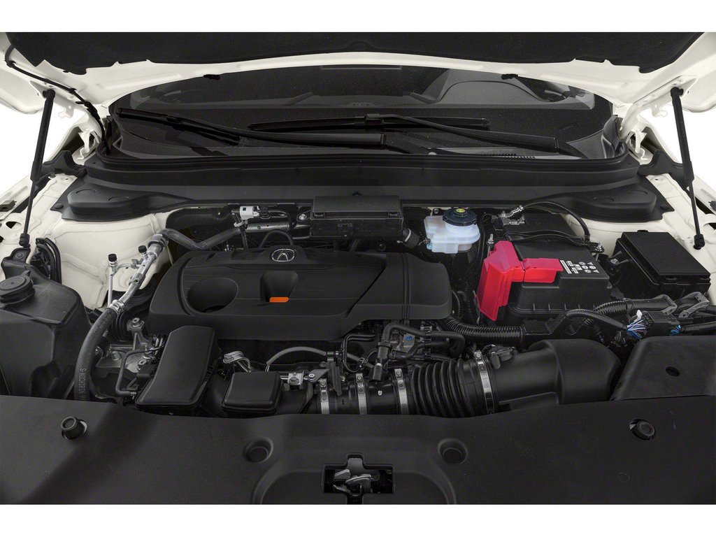 2019 Acura RDX in Antigonish, Nova Scotia - 7 - w1024h768px