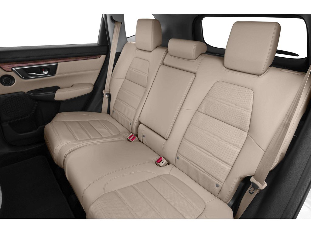 2019 Honda CR-V in Antigonish, Nova Scotia - 8 - w1024h768px