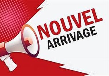 2020 Toyota RAV4 in Montreal, Quebec - 2 - w1024h768px
