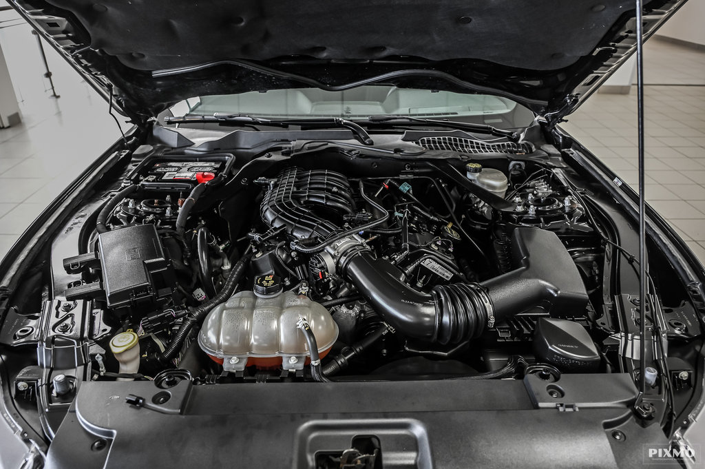 2017 Ford Mustang convertible in Brossard, Quebec - 15 - w1024h768px