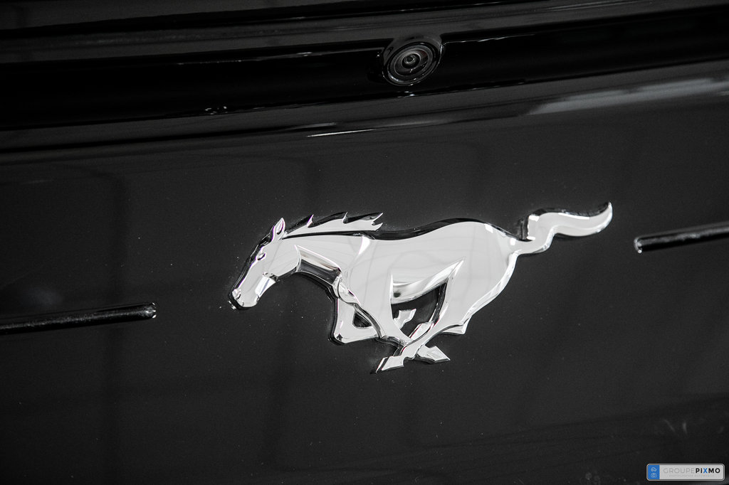 Ford Mustang convertible  2023 à Brossard, Québec - 7 - w1024h768px